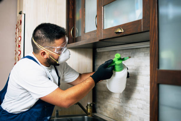 Best Affordable Pest Control Services  in Wanaque, NJ