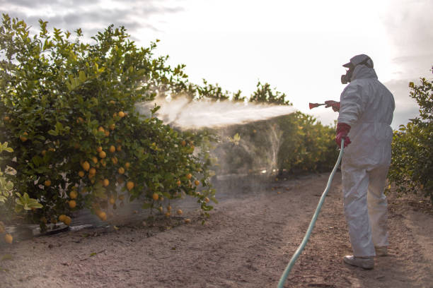 Best Termite Control Services  in Wanaque, NJ