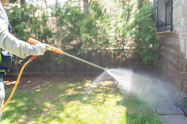 Best Wasp Removal Services  in Wanaque, NJ