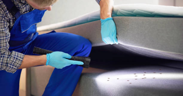 Professional Pest Control in Wanaque, NJ